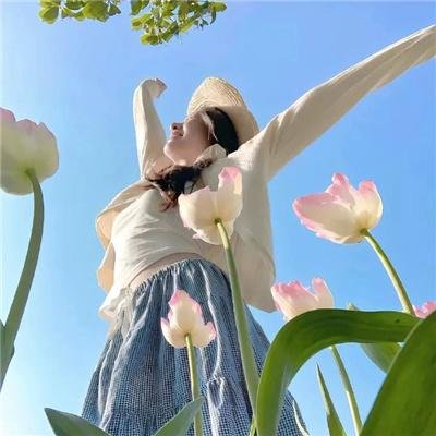 独活女子的推荐第二季